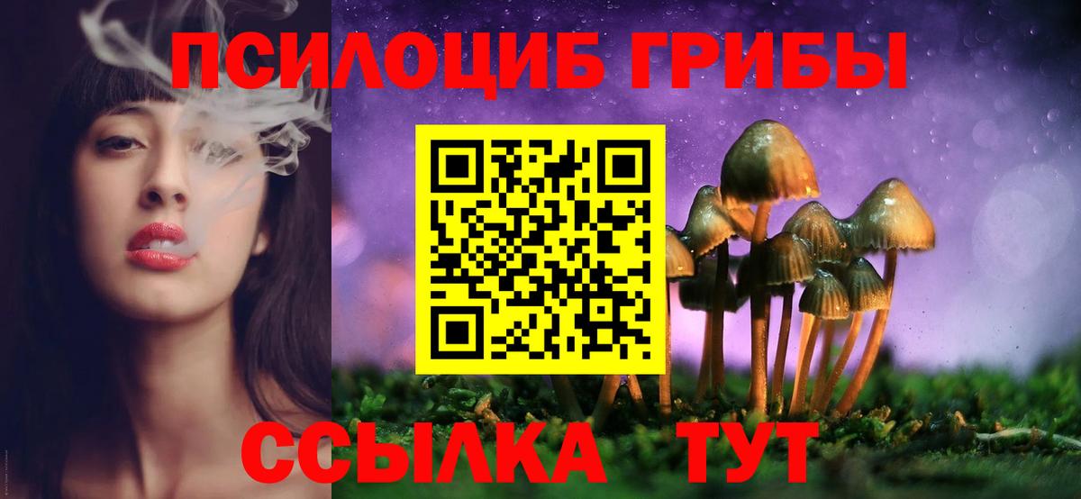 Муром  Галлюциногенные грибы Magic Shrooms  Псилоцибиновые грибы Cubensis  Вход с VPN 